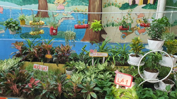 Những trường học ngát cây xanh ở TP.HCM