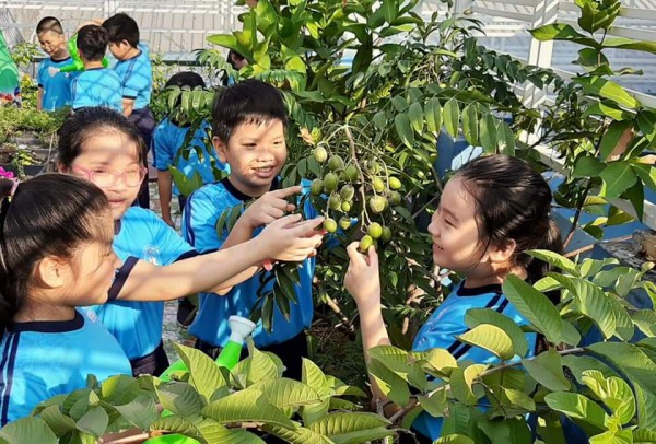 Những trường học ngát cây xanh ở TP.HCM