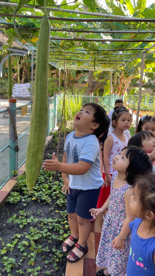 Những trường học ngát cây xanh ở TP.HCM