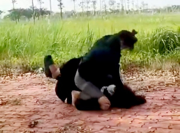 Nữ sinh lớp 8 bị đánh hội đồng, lột áo giữa công viên Nữ sinh lớp 8 bị đánh hội đồng, lột áo giữa công viên