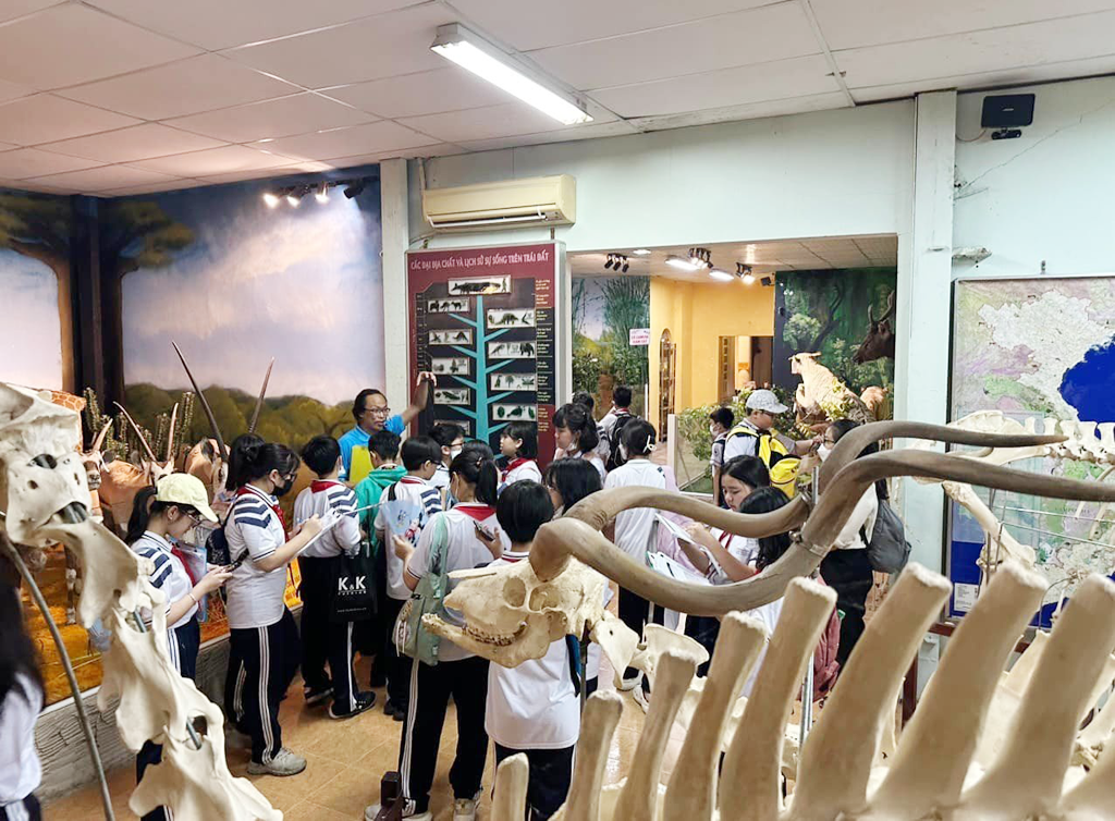 Rà soát, chấn chỉnh hoạt động ngoại khóa