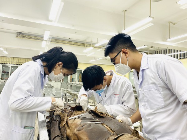 Sinh viên y ngồi hành lang bệnh viện nghe… thực hành Sinh viên y ngồi hành lang bệnh viện nghe… thực hành