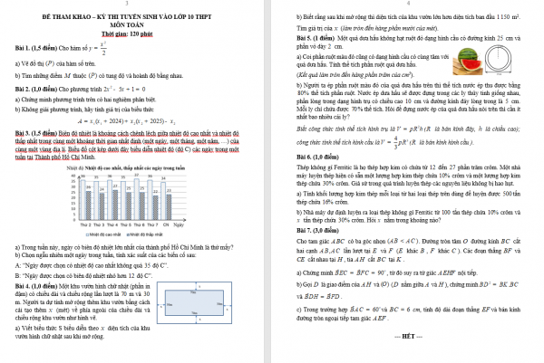 TP.HCM công bố đề thi tham khảo lớp 10 các môn toán, ngữ văn và tiếng Anh