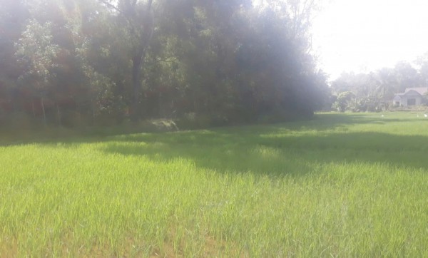 Tết quê thời nay khác gì ngày xưa? Tết quê thời nay khác gì ngày xưa?