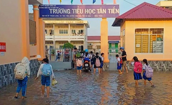 Thầy trò Cà Mau chật vật ứng phó với triều cường dâng cao