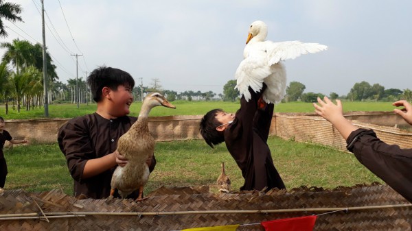 Thế nào là trường tiên tiến, hội nhập quốc tế tại TP.HCM? Thế nào là trường tiên tiến, hội nhập quốc tế tại TP.HCM?