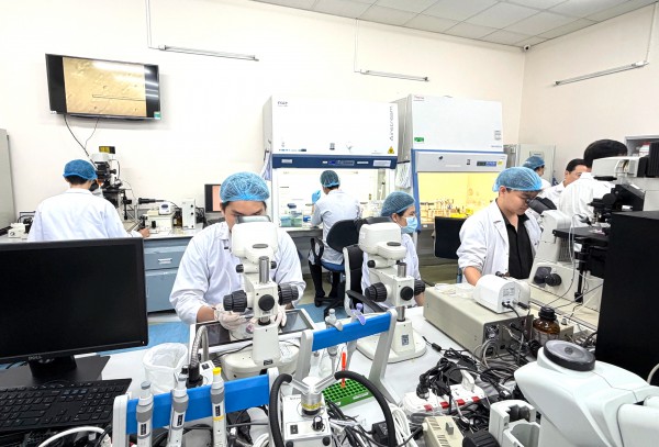 Tiến sĩ danh dự, giáo sư danh dự không thay thế cho học vị, học hàm