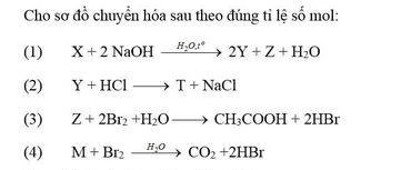 Tranh luận đề thi đánh giá năng lực có 2 câu hỏi 'mâu thuẫn', nghi sai sót