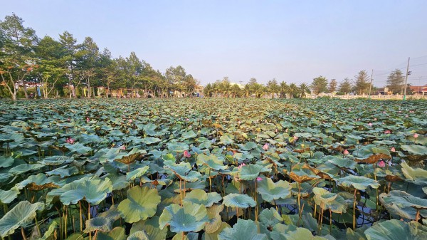 Trường ĐH có công trình đạt kỷ lục Việt Nam, nơi diễn ra tư vấn mùa thi Trường ĐH có công trình đạt kỷ lục Việt Nam, nơi diễn ra tư vấn mùa thi