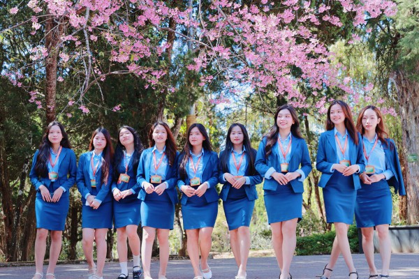 Trường ĐH Đà Lạt rực sắc mai anh đào, sinh viên, du khách thích thú chụp ảnh