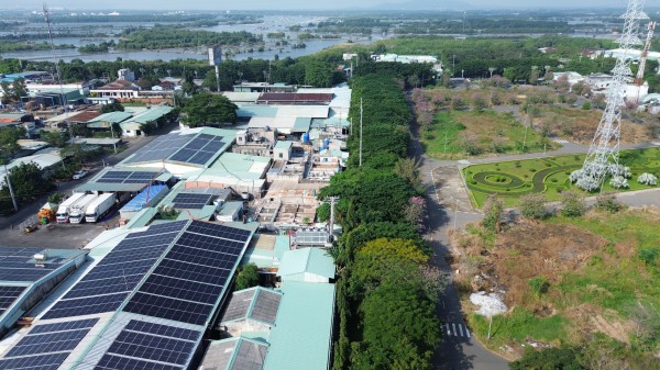 Trường mầm non ở TP.HCM bất lực dùng tôn che chắn mùi hôi thối xông vào lớp