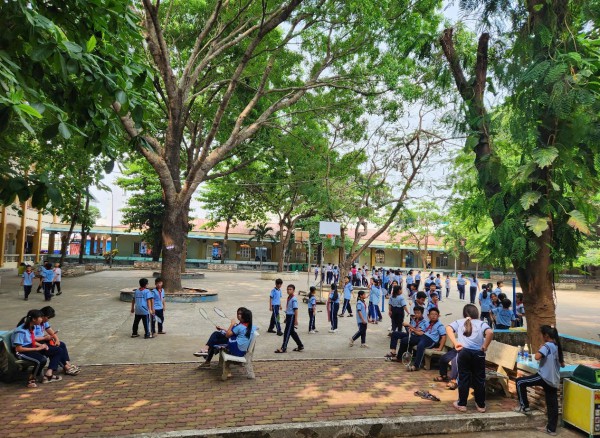 Trường tiểu học đông học sinh nhất quận 12, TP.HCM: Hơn 4.200 em, 88 lớp