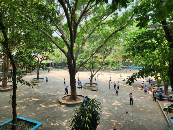 Trường tiểu học đông học sinh nhất quận 12, TP.HCM: Hơn 4.200 em, 88 lớp
