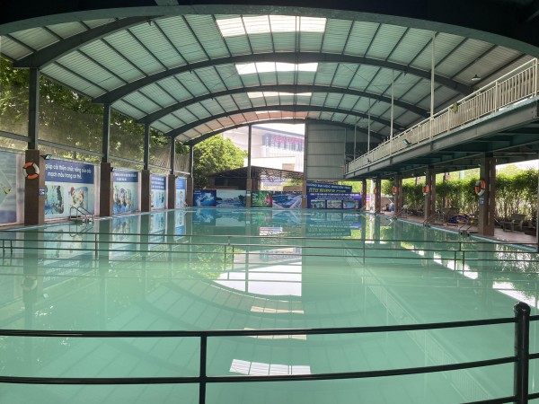 Vụ nam sinh lớp 9 đuối nước: Giáo viên dạy bơi đang trong quá trình thử việc