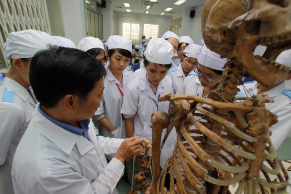 Xét tuyển y khoa bằng môn văn: Cần sớm có chuẩn chương trình đào tạo