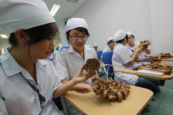 Xét tuyển y khoa bằng môn văn: Cần sớm có chuẩn chương trình đào tạo