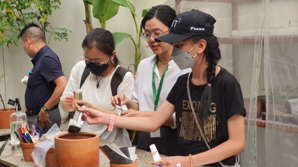 Độc đáo vườn cộng đồng ở TP.HCM, ai cũng có thể đến trồng cây, hái rau