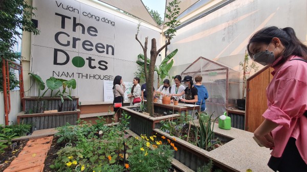 Độc đáo vườn cộng đồng ở TP.HCM, ai cũng có thể đến trồng cây, hái rau
