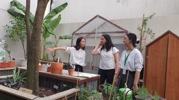 Độc đáo vườn cộng đồng ở TP.HCM, ai cũng có thể đến trồng cây, hái rau