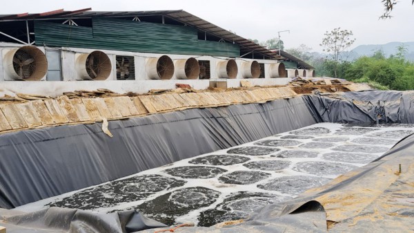 Bắc Giang: Phát triển chăn nuôi gắn với bảo vệ môi trường