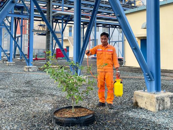 Công ty Nhiệt điện Cần Thơ hưởng ứng Ngày Môi trường thế giới và Tháng Hành động vì môi trường