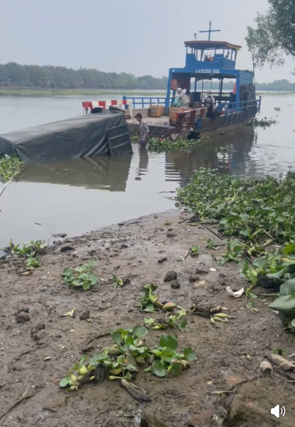 Phà sắp cặp bến, ô tô tải trượt rơi xuống sông Vàm Cỏ Tây