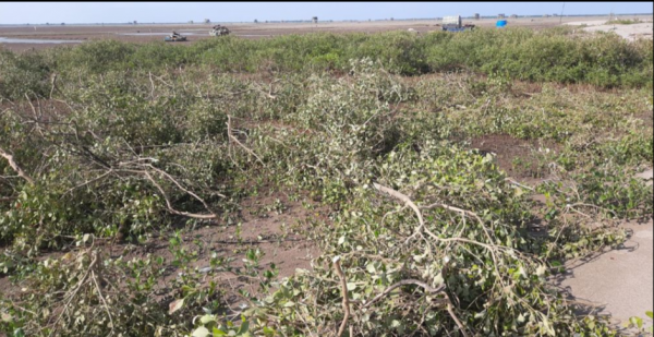 Phạt 325 triệu đồng cá nhân gây thiệt hại 2.000 mét vuông Vườn quốc gia Xuân Thủy