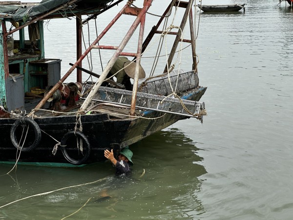 Quảng Ninh: Cấm ‘hung thần đại dương’ neo đậu ven bờ vịnh Hạ Long