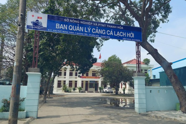 Thành lập Ban Quản lý cảng cá Thanh Hóa