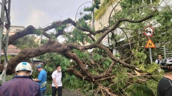 Tin tức tai nạn giao thông mới nhất, nóng nhất hôm nay 3/4/2023