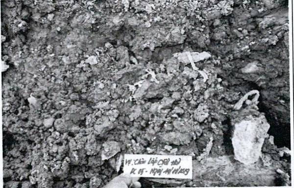 Vụ DN nghi chôn trộm nhiều tấn bùn thải ở Bình Phước: Không khởi tố, không xử phạt hành chính