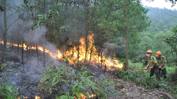 Bắc Giang: Nhiều địa phương có nguy cơ cháy rừng ở cấp nguy hiểm