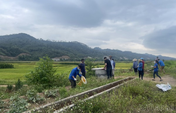 Bảo Thắng (Lào Cai) ra quân thu gom vỏ bao, gói thuốc bảo vệ thực vật