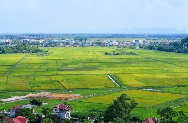 Bến Tre tăng cường kiểm tra chỉ đạo sử dụng đất nông nghiệp Bến Tre tăng cường kiểm tra chỉ đạo sử dụng đất nông nghiệp