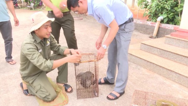 Bình Phước bàn giao 2 con Rái Cá quý hiếm