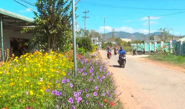 Bình Thuận: Chú trọng phát triển phong trào, mô hình hay về bảo vệ môi trường