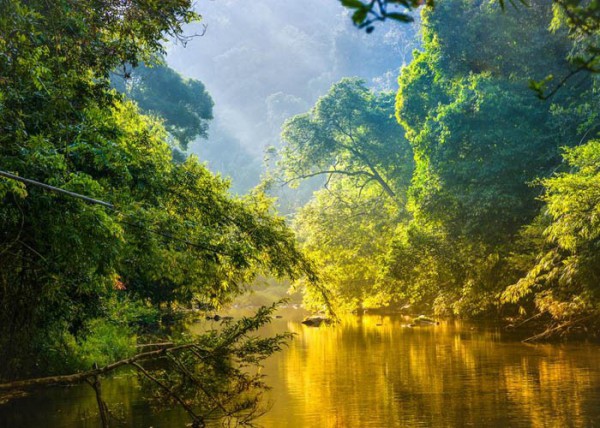 Brazil: Thành phố Belem được lựa chọn là nơi đăng cai COP30