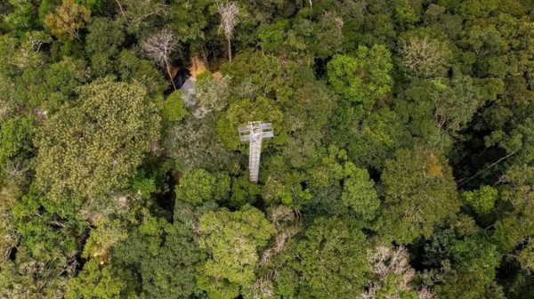Brazil xây dựng công trình bơm CO2 vào rừng Amazon