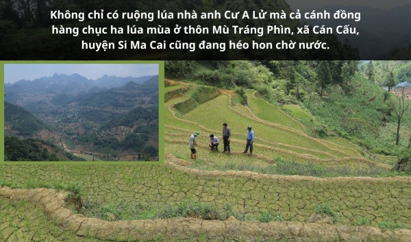 Cận cảnh hạn hán ở vùng cao Lào Cai