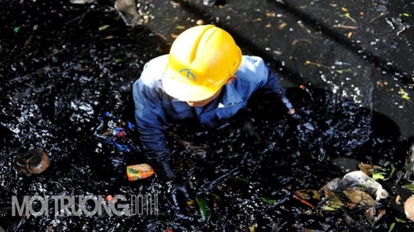 Cấu trúc, nội dung báo cáo hiện trạng môi trường