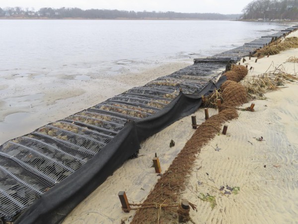 Dùng xơ dừa để chống xói mòn ở nhiều vùng duyên hải trên thế giới