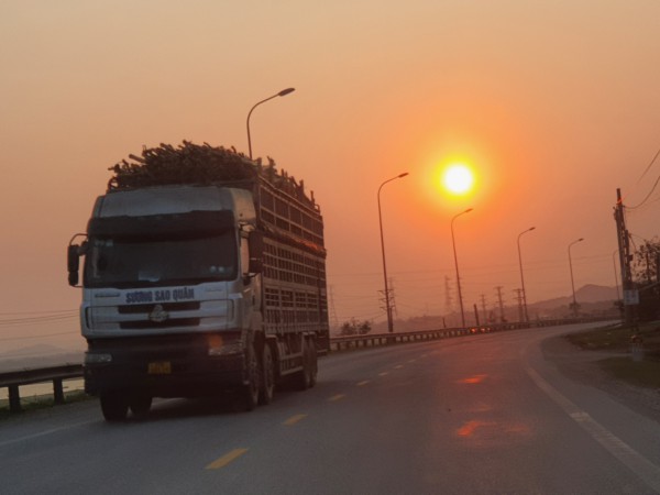 Hà Tĩnh: Cần kiểm tra, xử lý tình trạng ô nhiễm từ các dàn xe chở dăm gỗ