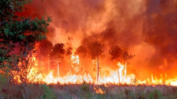 Hoả hoạn thiêu rụi hơn 8.000 hécta rừng gần biên giới Tây Ban Nha-Bồ Đào Nha