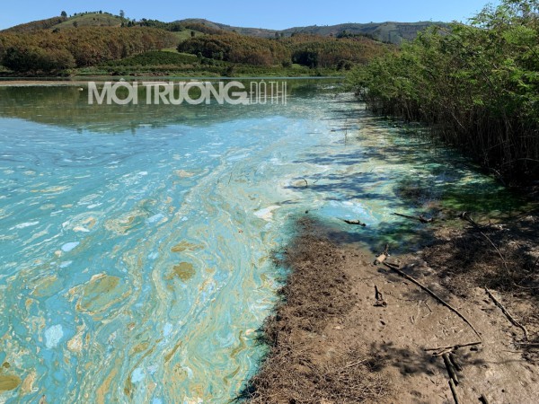 Kon Tum: Báo động tình trạng ô nhiễm tại lòng hồ Ya Ly Kon Tum: Báo động tình trạng ô nhiễm tại lòng hồ Ya Ly