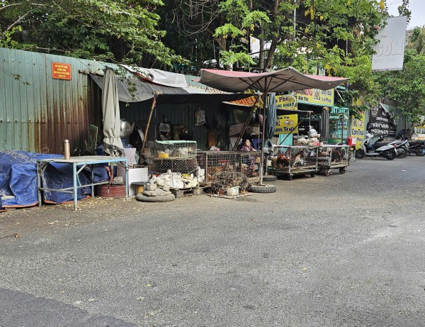 Người dân TP.HCM bức xúc vì mùi hôi từ điểm bán gia cầm, phường ra quân xử lý