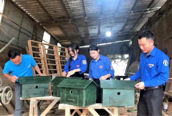 Những 'ngôi nhà pin' ở xã Kỳ Hoa