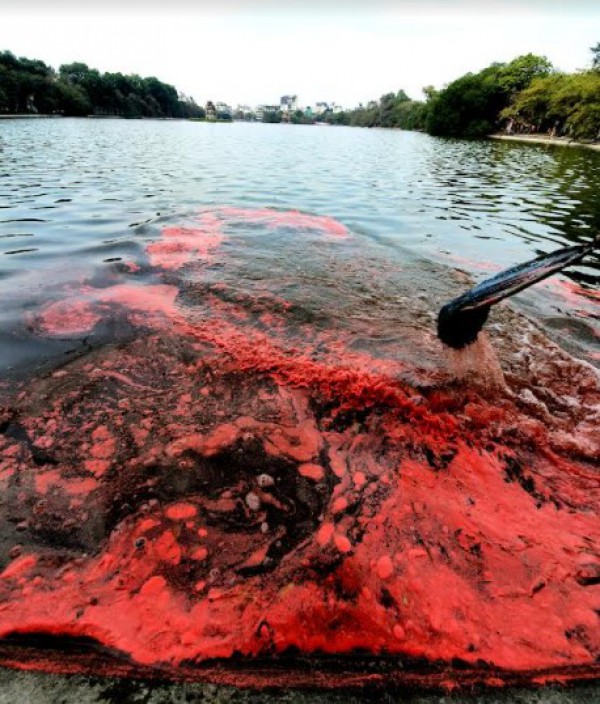Nước Hồ Gươm ô nhiễm bởi váng sơn đỏ