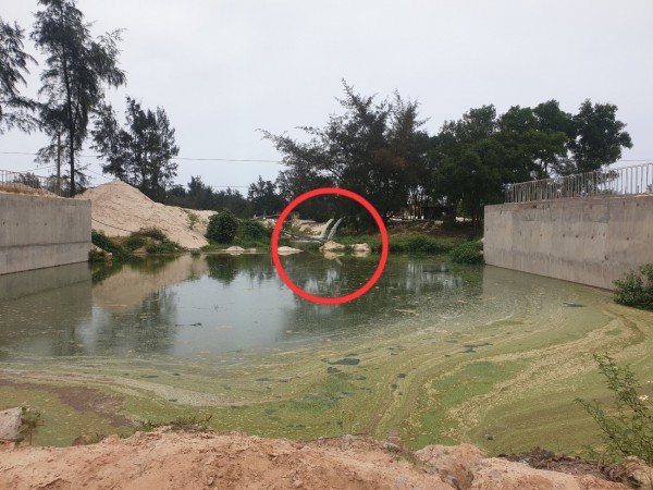 Nuôi cá lóc trên cát, xả thẳng nước thải không qua xử lý ra môi trường