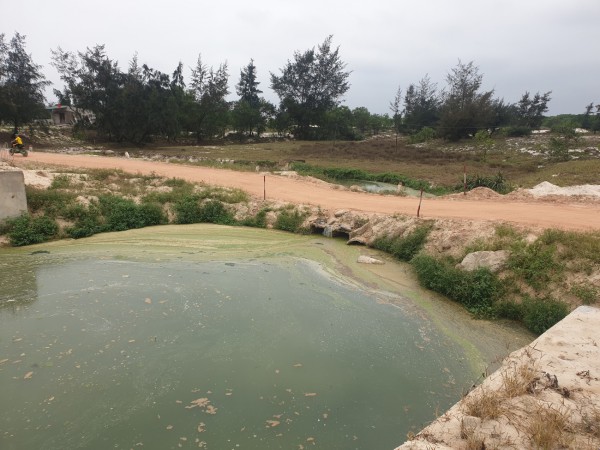 Nuôi cá lóc trên cát, xả thẳng nước thải không qua xử lý ra môi trường