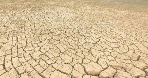 Quảng Trị: Chủ động ứng phó với tình trạng khô hạn